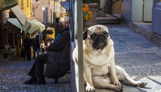 ¡No creas lo que ves! 22 increíbles fotos de rompecabezas ópticos