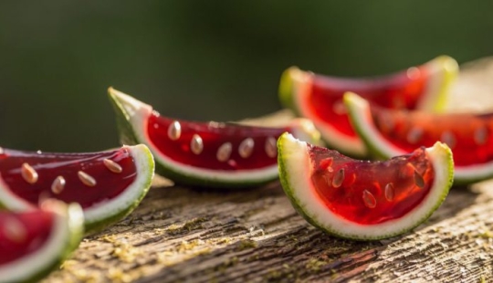 No es para beber, y de la diversión para las recetas de deliciosos platos y bebidas alcohólicas