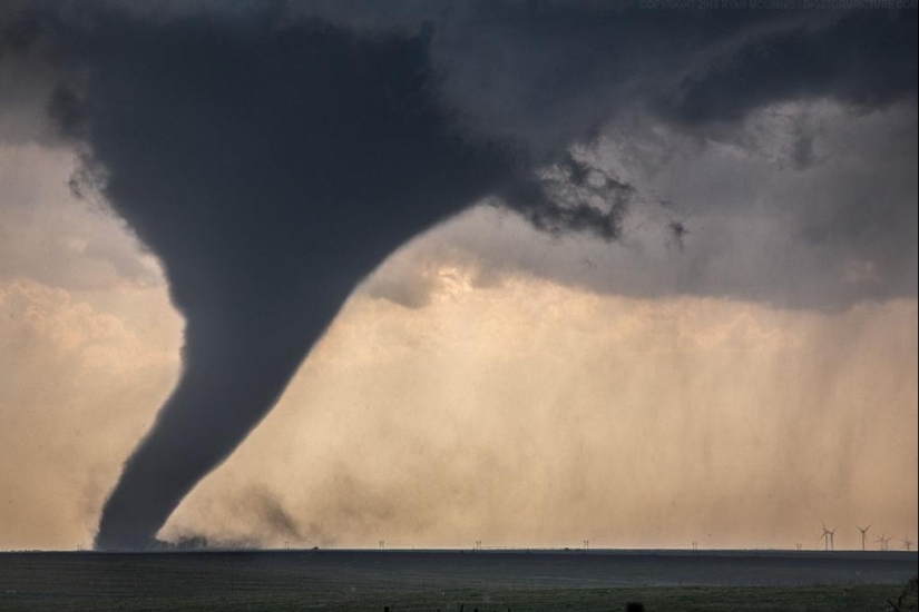 No fotomontaje! 26 objetos que son mucho más grandes en realidad de lo que pensabas