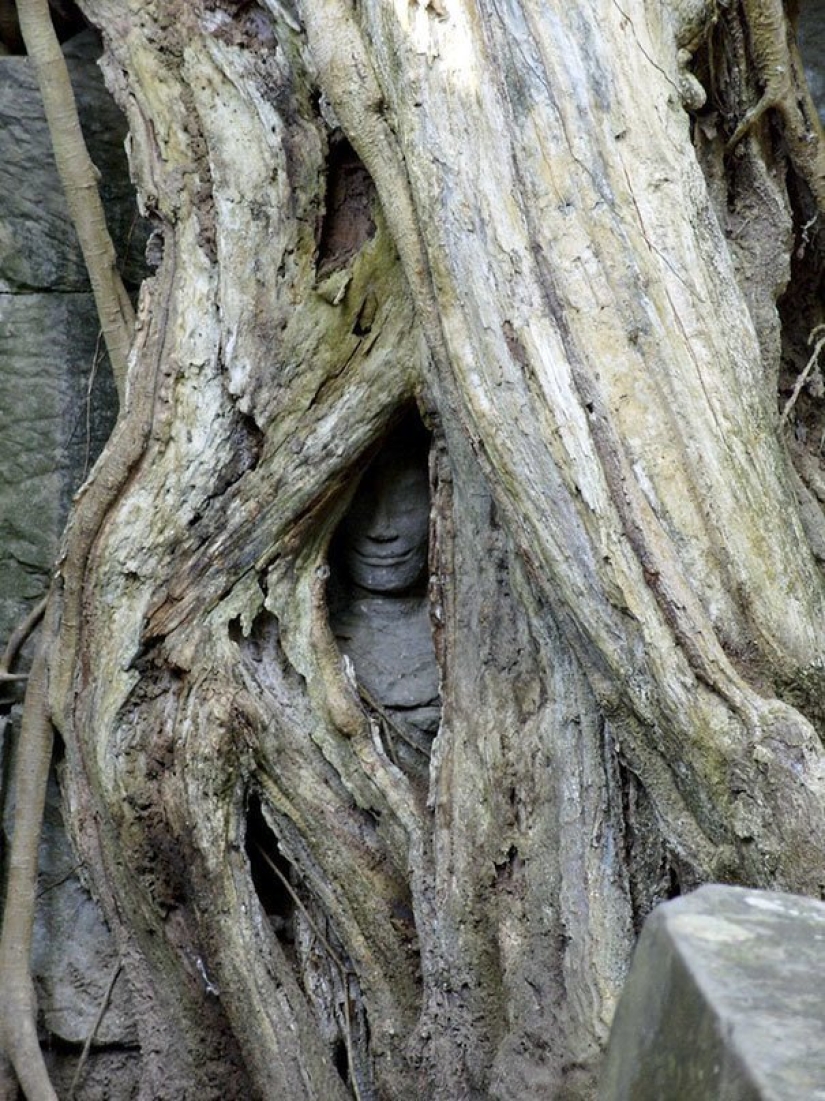 No para los débiles de corazón: La Madre Naturaleza muestra su lado oscuro