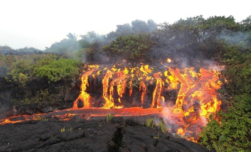 No para los débiles de corazón: La Madre Naturaleza muestra su lado oscuro