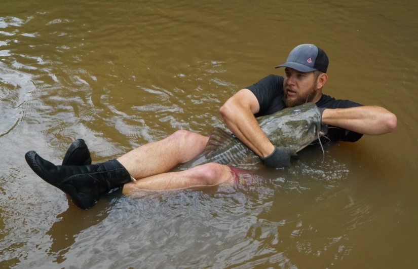 Noodling: pesca inusual para los más valientes