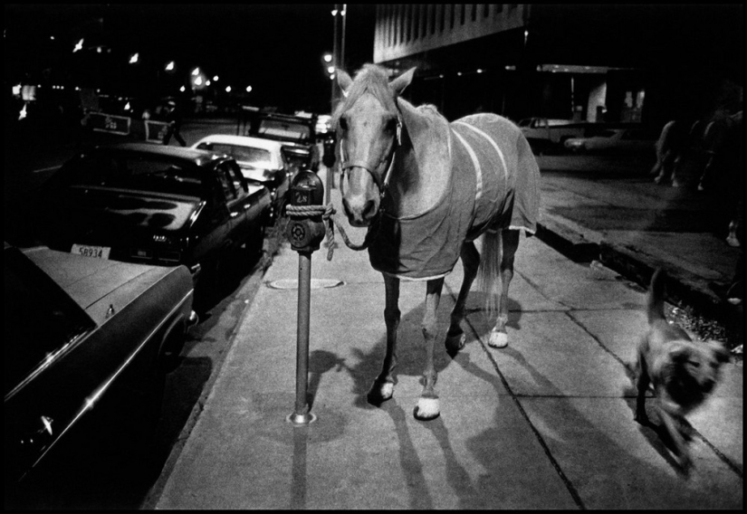 "Nos lanzan algo!": Mardi Gras in New Orleans in pictures by Bruce Gilden