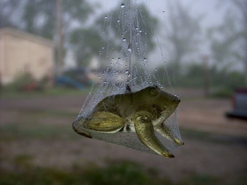 Not for the faint of heart: Mother Nature shows her dark side