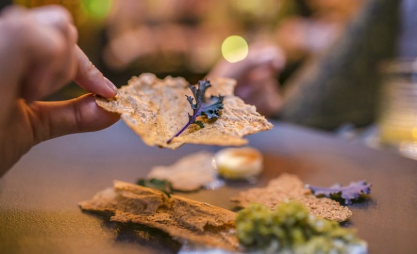 Nutrition of the near future: pasta from beetles, milk from algae and borscht from a printer