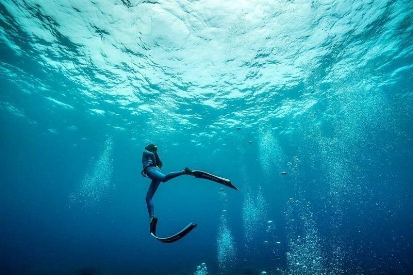 "Océano grande y azul" : un fotógrafo apneista mostró una increíble serie de tomas submarinas