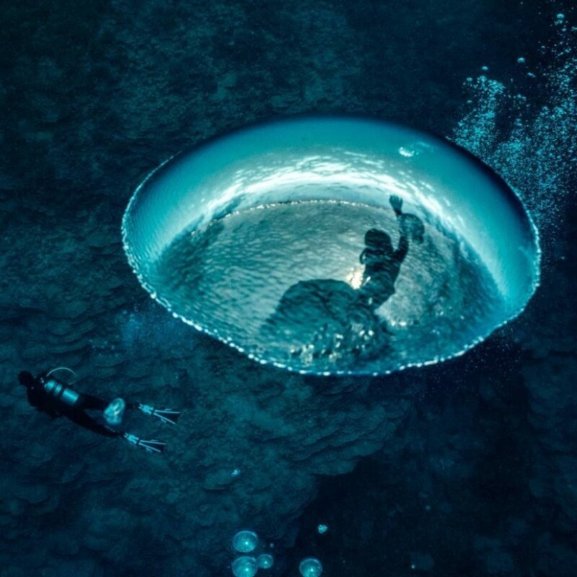 "Océano grande y azul" : un fotógrafo apneista mostró una increíble serie de tomas submarinas