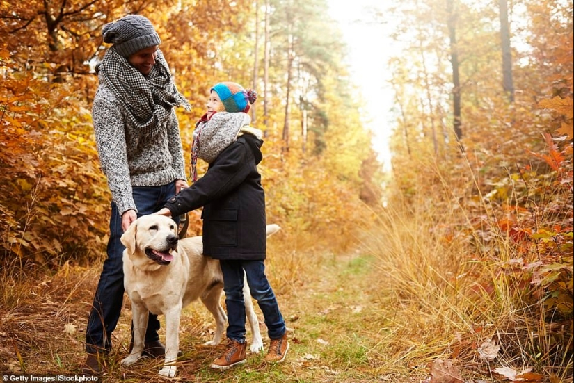 Och enchantment: los lugares más bellos para viajar en otoño