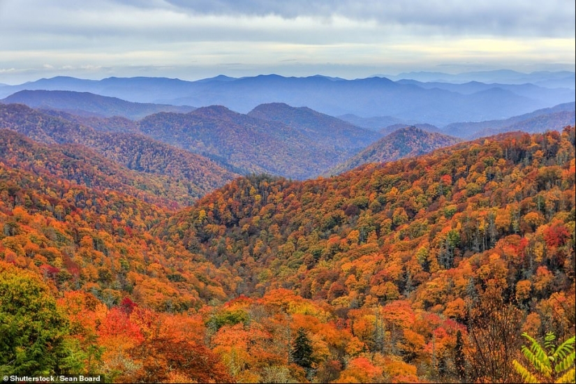 Och enchantment: los lugares más bellos para viajar en otoño