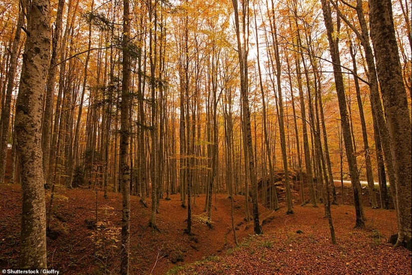 Och enchantment: los lugares más bellos para viajar en otoño