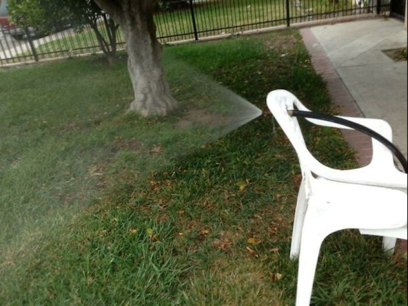 On the verge of genius: 22 examples of astounding laziness