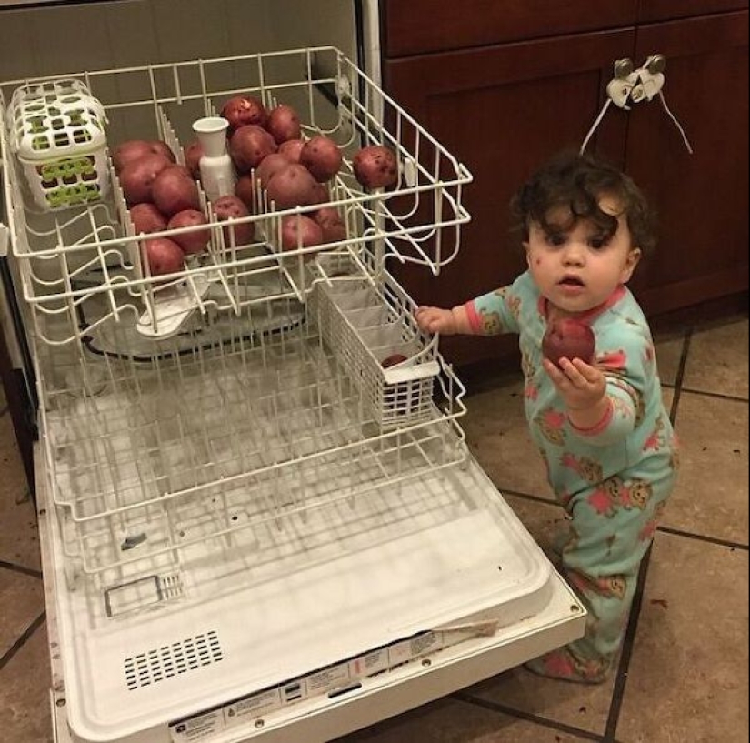 On the verge of genius: 22 examples of astounding laziness