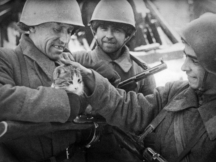 On Victory Day: 35 famous pictures of the Great Patriotic War