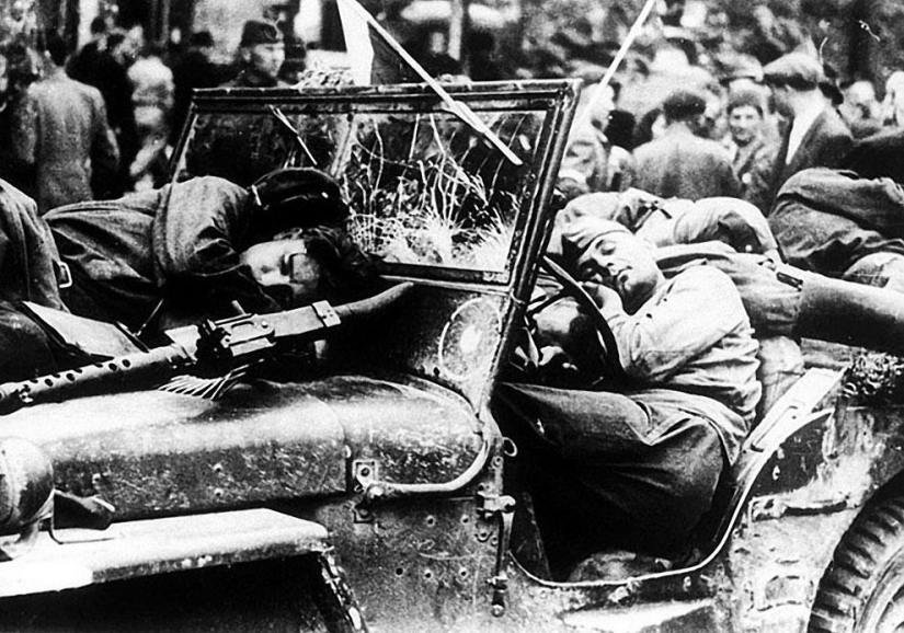 On Victory Day: 35 famous pictures of the Great Patriotic War