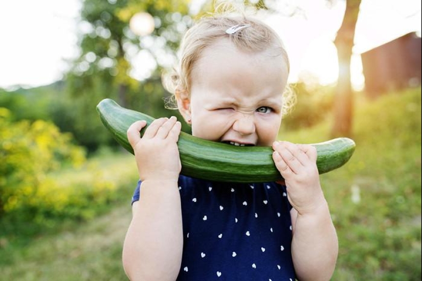 ¡Os asombraréis, pero los pepinos y los tomates no pertenecen hortalizas!