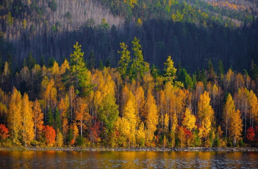 Otoño dorado en fotos de diferentes partes de Rusia