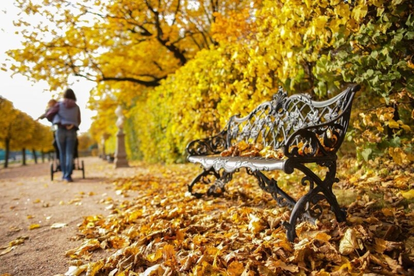 Otoño dorado en fotos de diferentes partes de Rusia