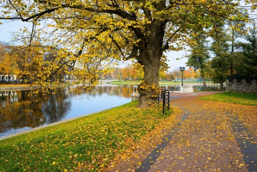 Otoño dorado en fotos de diferentes partes de Rusia