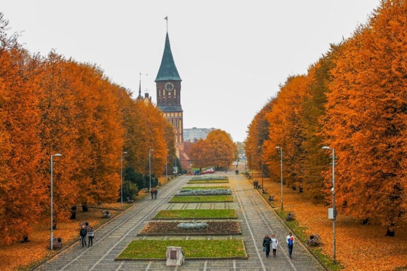 Otoño dorado en fotos de diferentes partes de Rusia