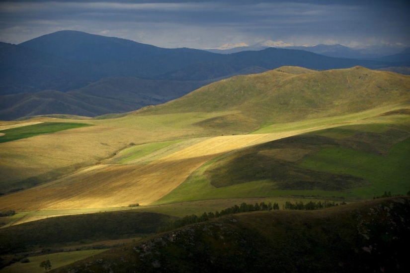 Otoño en las montañas de Kazajstán a vista de pájaro