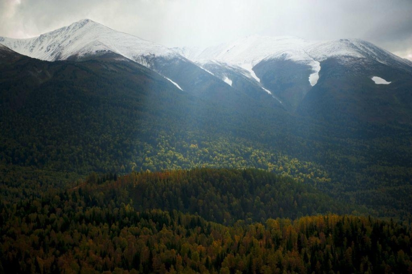 Otoño en las montañas de Kazajstán a vista de pájaro