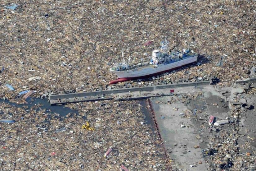 Pacific garbage patch: huge island of trash the size of France