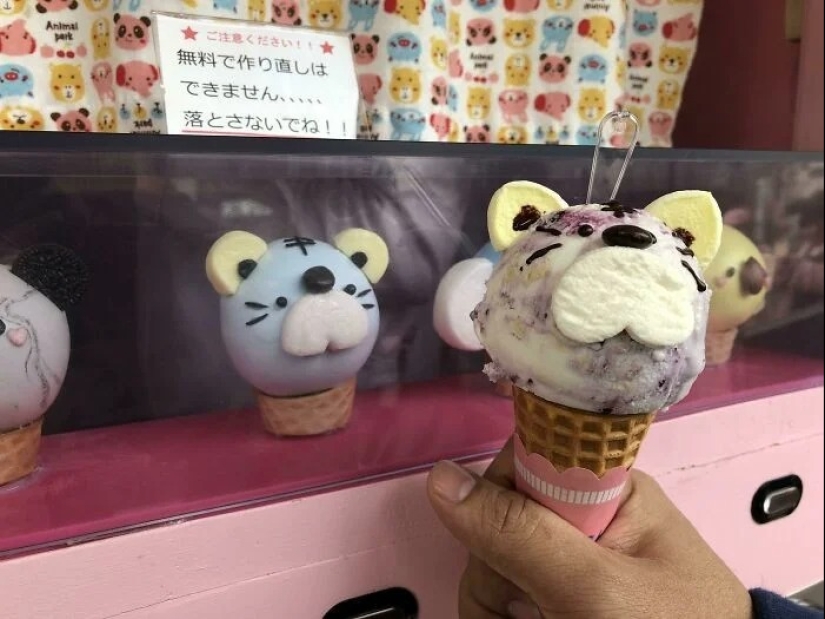 Packaging and food: 30 examples from Japan where expectation meets reality