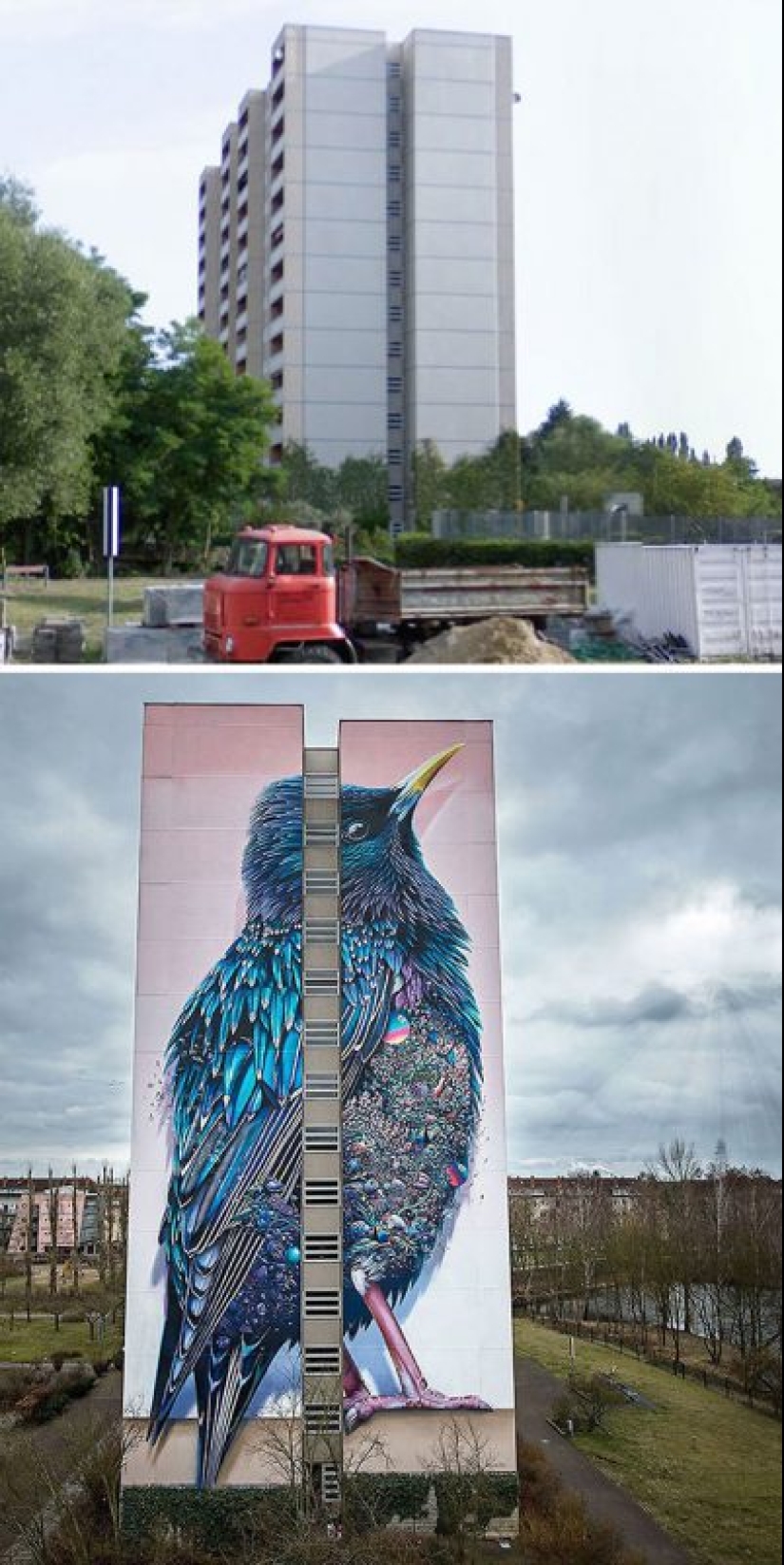 Paint the world in bright colors: the miraculous transformation of the gray buildings into works of art through graffiti