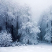 Paisajes de invierno relajantes por un fotógrafo alemán