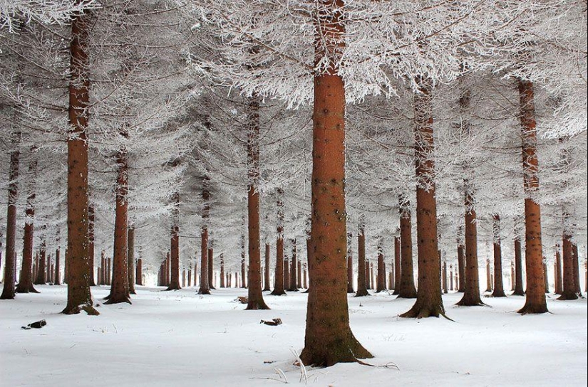 Paisajes de invierno encantadores