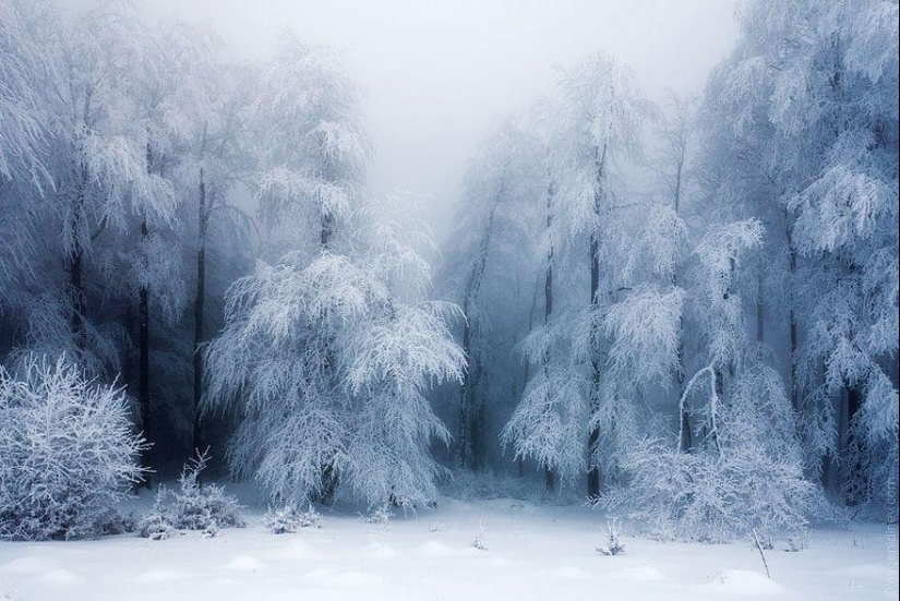 Paisajes de invierno encantadores