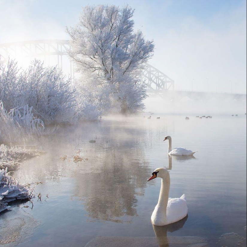 Paisajes de invierno encantadores