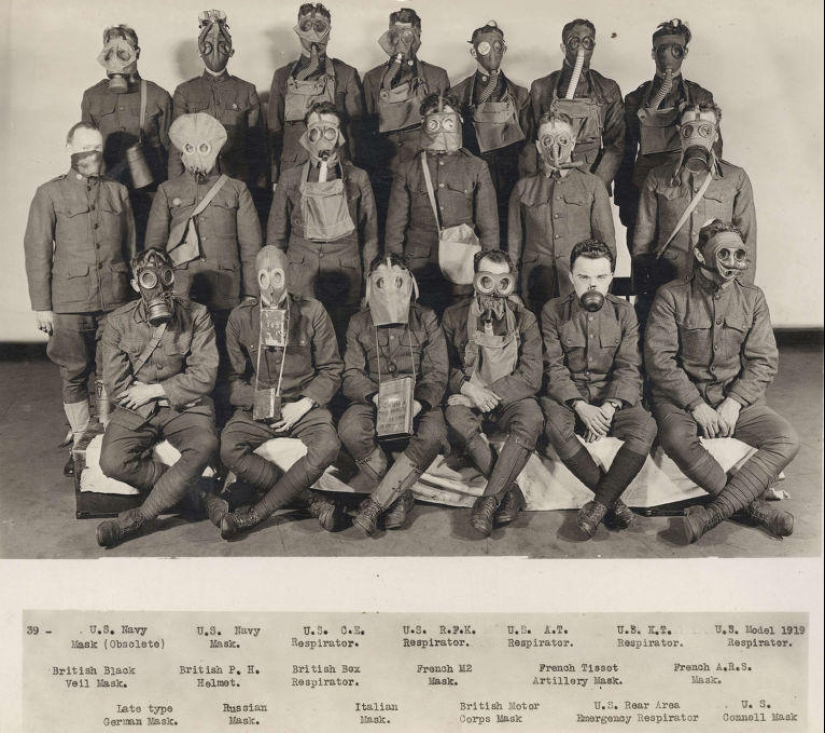 Palomas y máscaras de gas: el otro lado de la Primera Guerra Mundial