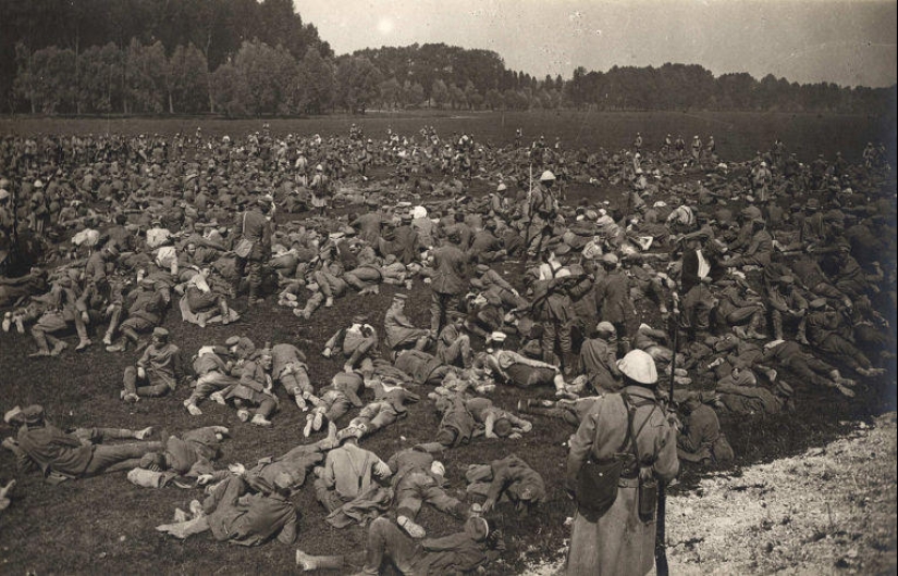 Palomas y máscaras de gas: el otro lado de la Primera Guerra Mundial
