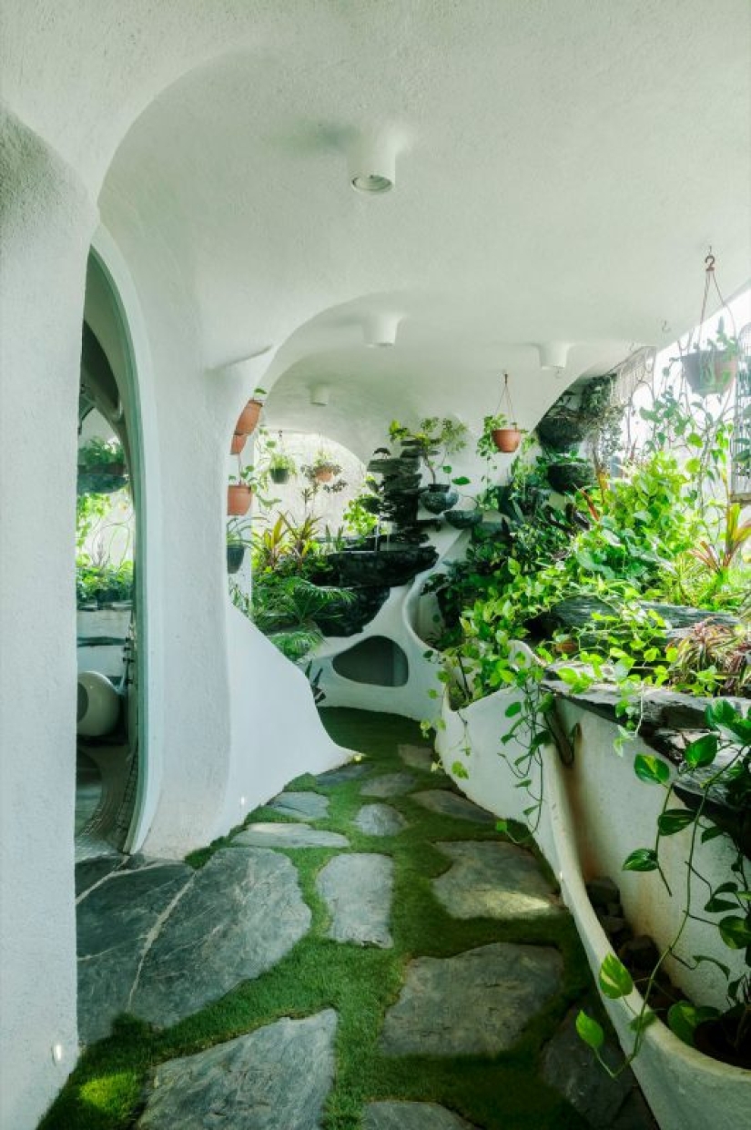 Paradise in the metropolis: plants breathed life into a one-room apartment