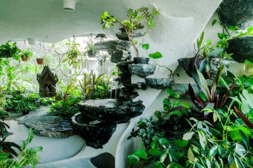 Paraíso en la metrópoli: las plantas dieron vida a un apartamento de una habitación