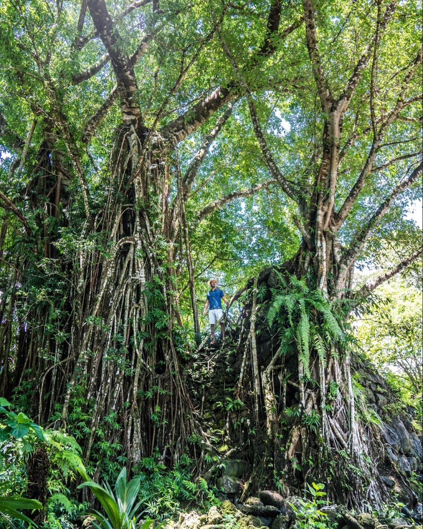 Paraíso Tropical: Micronesia y las Islas Marshall en imágenes de Robert Michael Poole