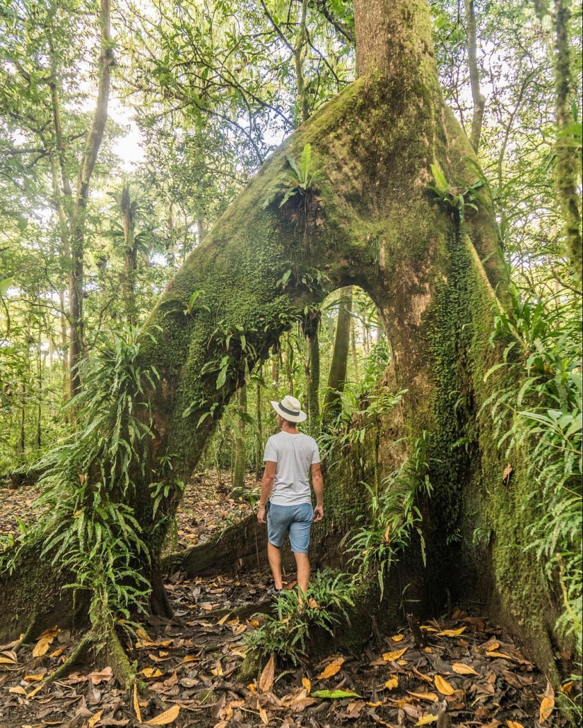 Paraíso Tropical: Micronesia y las Islas Marshall en imágenes de Robert Michael Poole