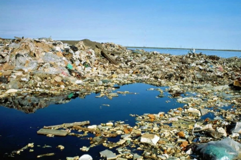 Parche de basura del pacífico: gran isla de basura del tamaño de Francia