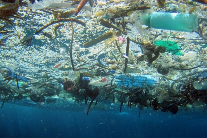 Parche de basura del pacífico: gran isla de basura del tamaño de Francia