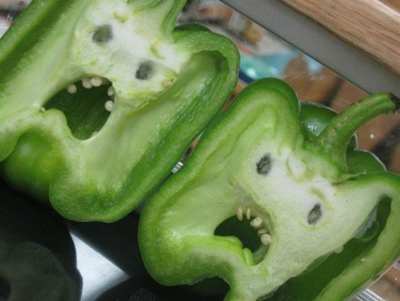 Pareidolic illusions: 18 inanimate objects that look alive