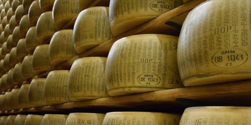 Parmesan-delicious, but expensive: the passion of English sailors for Italian cheese