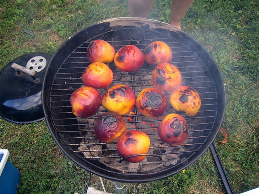 Parrilla alternativa