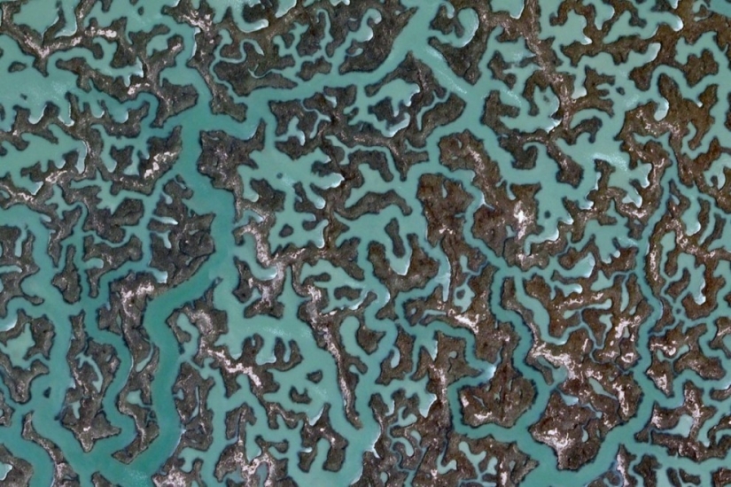 Patrones fractales en la superficie de la Tierra