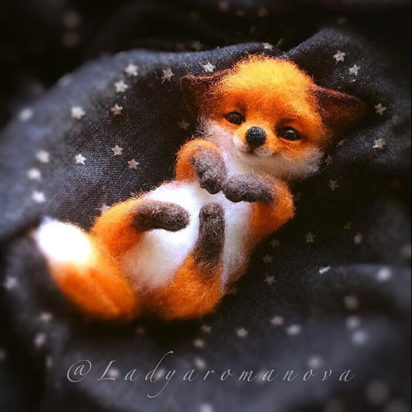 Paws of foxes and other adorable little animals mistresses Anna Romanova