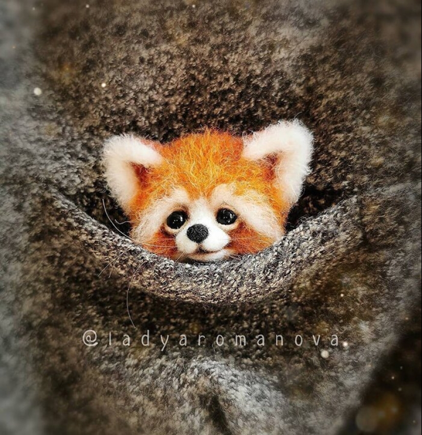 Paws of foxes and other adorable little animals mistresses Anna Romanova