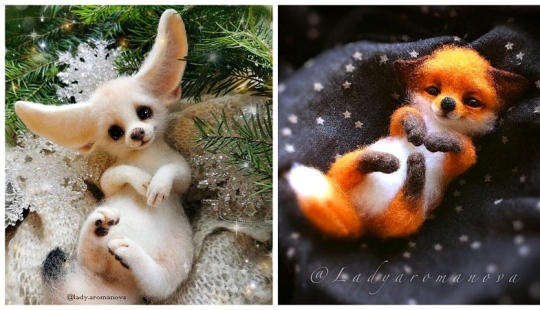 Paws of foxes and other adorable little animals mistresses Anna Romanova