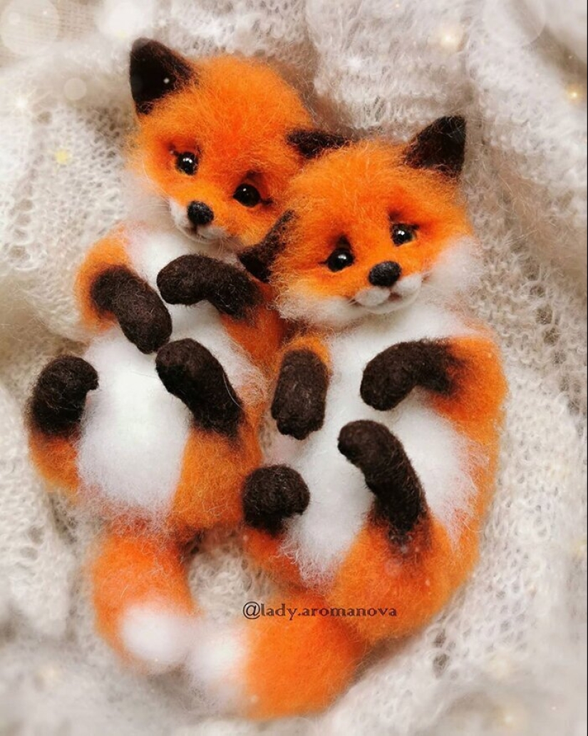 Paws of foxes and other adorable little animals mistresses Anna Romanova