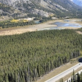 Pedestrian bridges for animals