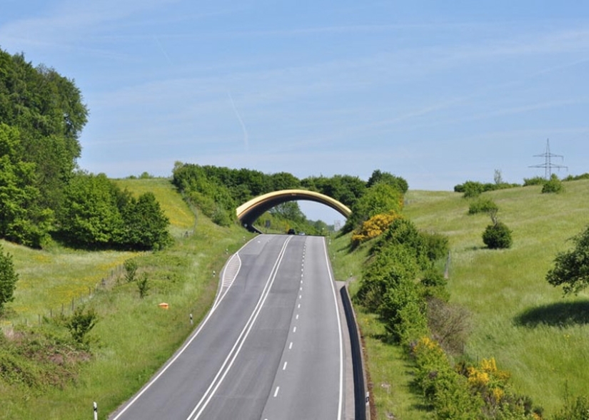 Pedestrian bridges for animals